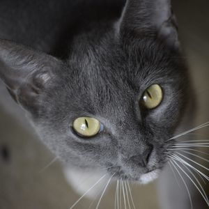 Meet your Posher, Monay